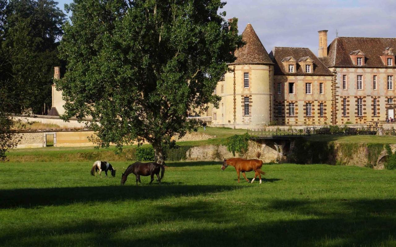 Bed and Breakfast Chateau De La Riviere Pontgouin Exteriér fotografie